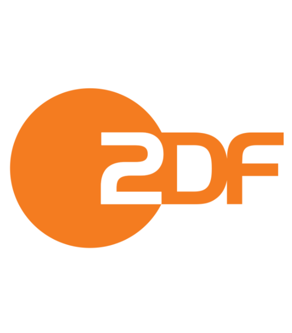 Report Zdf Diiip S